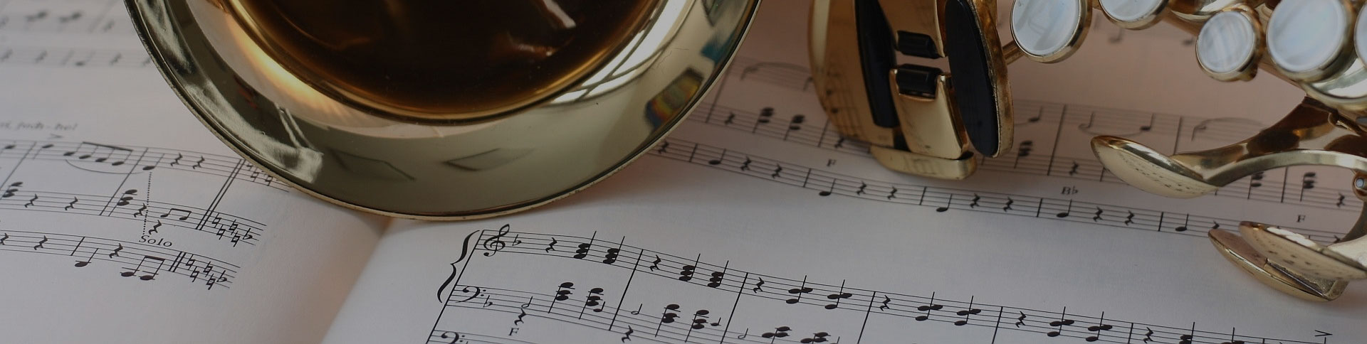 中國民族管弦樂學(xué)會(huì)-微信考試證書平臺(tái)|一網(wǎng)天行-網(wǎng)站建設(shè)小程序APP系統(tǒng)軟件開發(fā)公司