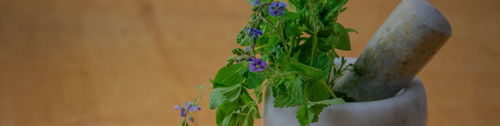 種藥吧-中藥供需信息發(fā)布微信平臺|一網天行-網站建設小程序APP系統(tǒng)軟件開發(fā)公司