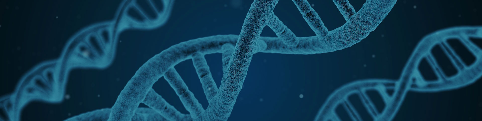 360基因官方網(wǎng)站|一網(wǎng)天行-網(wǎng)站建設(shè)小程序APP系統(tǒng)軟件開(kāi)發(fā)公司