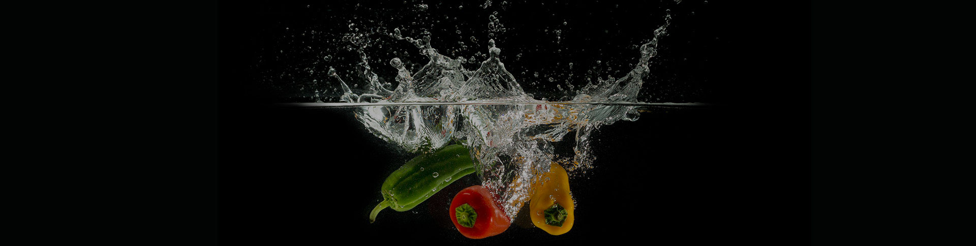 晉漢子品牌宣傳網站|一網天行-網站建設小程序APP系統(tǒng)軟件開發(fā)公司