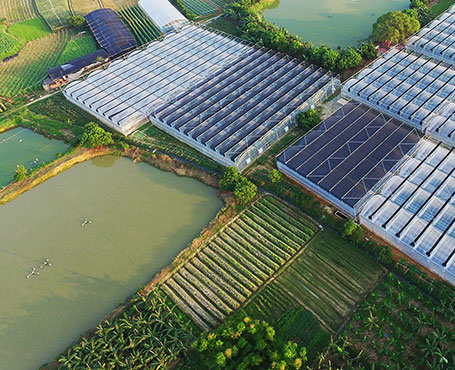 健康產(chǎn)業(yè)集團(tuán)公司品牌宣傳網(wǎng)站